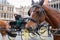 Horse-drawn carriages waiting for traveler tourists in the central square of Brussels, Belgium