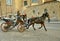 Horse drawn taxi in Florence, Italy