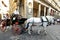 Horse drawn taxi in Florence, Italy