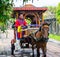 Horse-drawn vehicles used in the palace was restored to passenger travel in Hue