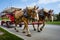 Horse-drawn vintage carriage provides transportation for guests of the Grand Hotel