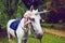 Horse dressed as a unicorn with the horn. Ideas for photoshoot. Wedding. Party. Outdoor