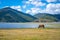 Horse drinking water at Napa Hai lake grasslands view with wetlands panorama on sunny day Shangri-La Yunnan China