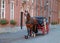 Horse-driven cab in Bruges