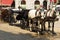 Horse-driven carriage