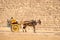 horse driver at the pyramids of Giza Cairo Egypt