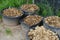 horse dung, manure, horse apples, in large bucket into scoop, shovel, agricultural, natural fertilizer for farms concept, food