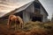 horse eating hay near old rustic barn