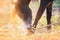 Horse eats corn straw in pasture in sunlight at sunset