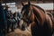 Horse at equine farm. Illustration AI Generative