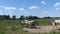 Horse family resting on the ground