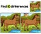Horse Farm Find The Differences