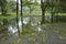 A horse farm flooded by hurricane irma