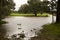 A horse farm flooded by hurricane irma