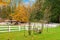 Horse farm with white fence and fall colorful leaves.