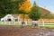 Horse farm with white fence and fall colorful leaves.