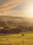 Horse at a field at sunset, soft,, warm color, selective focus. Sun rays and flare. Peaceful atmosphere. Industrial building in