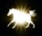 Horse with a flaming star on dark background