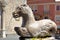 Horse Fountain in Taormina main square.