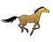 Horse. A galloping Akhal-Teke horse of a dun suit - vector full color illustration.