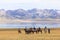 Horse Games at Song Kul Lake in Kyrgyzstan