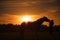 Horse and Girl at Sunset