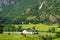 Horse on grass pasture on mountain landscape in Flam, Norway. Horse on green meadow sunny day. Summer landscape with