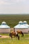 Horse in the grassland of Inner Mongolia