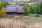 Horse grazes on background of the old house Ukrainian peasant