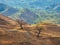 Horse grazes on the mountainside. Beautiful spring morning rural landscape. Amazing terrace mountain Dagestan. Choh village