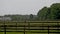 Horse grazes summer storm rain village brown horse grazes. Small bird perched nearby