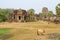 Horse grazing ancient Angkor Wat temple, Cambodia