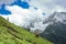 A horse grazing on the golden meadow of Sonamarg