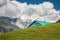 A horse grazing on the golden meadow of Sonamarg