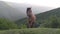 Horse grazing on mountain pastures.