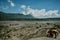 Horse and great landscape of Bromo