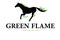 Horse green flames logo
