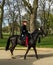 Horse Guard in Green park near Buckingham palace, London, UK