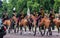 Horse Guards London England