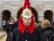 Horse Guards Soldier standing to attention