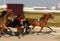 Horse harness race or sulky race in palma de mallorca hippodrome