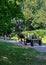 A horse harnessed in a cart on a forest road.