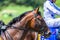 Horse Head Bridle Close-Up Jockey Race Track