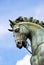 Horse head (detail of the statue of Cosimo de \' Medici in Floren