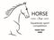 Horse head graphic logo template, vector illustration on white background.