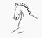 Horse head graphic logo template, vector illustration on white background.