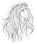 Horse head in line art style. Tattoo art. Isolated element.