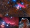 Horse Head Nebula in Orion photo collage. Elements of this picture furnished by NASA