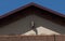 Horse head on pediment of roof closeup in Florence, Italy