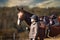 Horse head portraits with rider on the meadow.